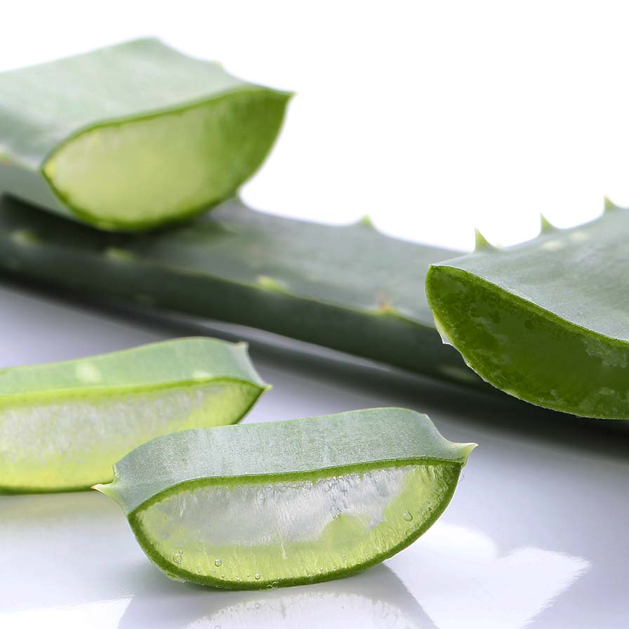 3 Ekstrak Aloe Veraaloeveraslicesskincare